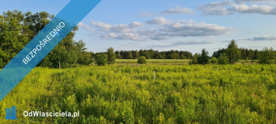 DZIAŁKA NA GRANICY ŁODZI Z POZWOLENIEM NA BUDOWĘ - Leśne Odpadki  -
łódzkie Zdjęcie nr 3