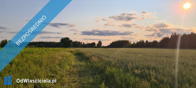 DZIAŁKA NA GRANICY ŁODZI Z POZWOLENIEM NA BUDOWĘ - Leśne Odpadki  -
łódzkie Zdjęcie nr 5