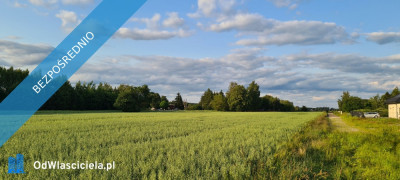 DZIAŁKA NA GRANICY ŁODZI Z POZWOLENIEM NA BUDOWĘ - Leśne Odpadki  -
łódzkie Zdjęcie nr 7