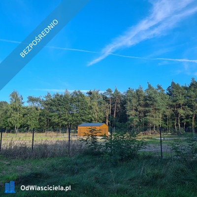  Las za oknem projekt w ręku  działka gotowa do budowy - Budzynek  -
łódzkie Zdjęcie nr 6