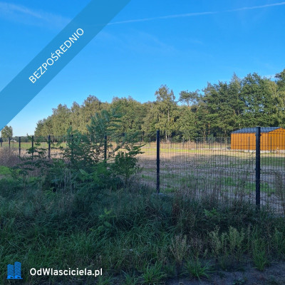  Las za oknem projekt w ręku  działka gotowa do budowy - Budzynek  -
łódzkie Zdjęcie nr 7