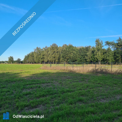  Las za oknem projekt w ręku  działka gotowa do budowy - Budzynek  -
łódzkie Zdjęcie nr 8