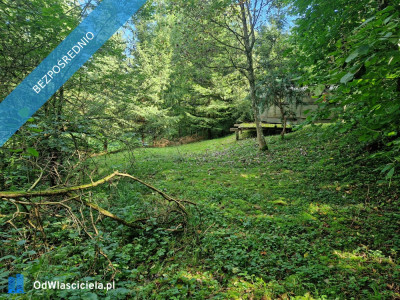 działka rekreacyjna nad jeziorem - Lubasz  -
wielkopolskie Zdjęcie nr 4