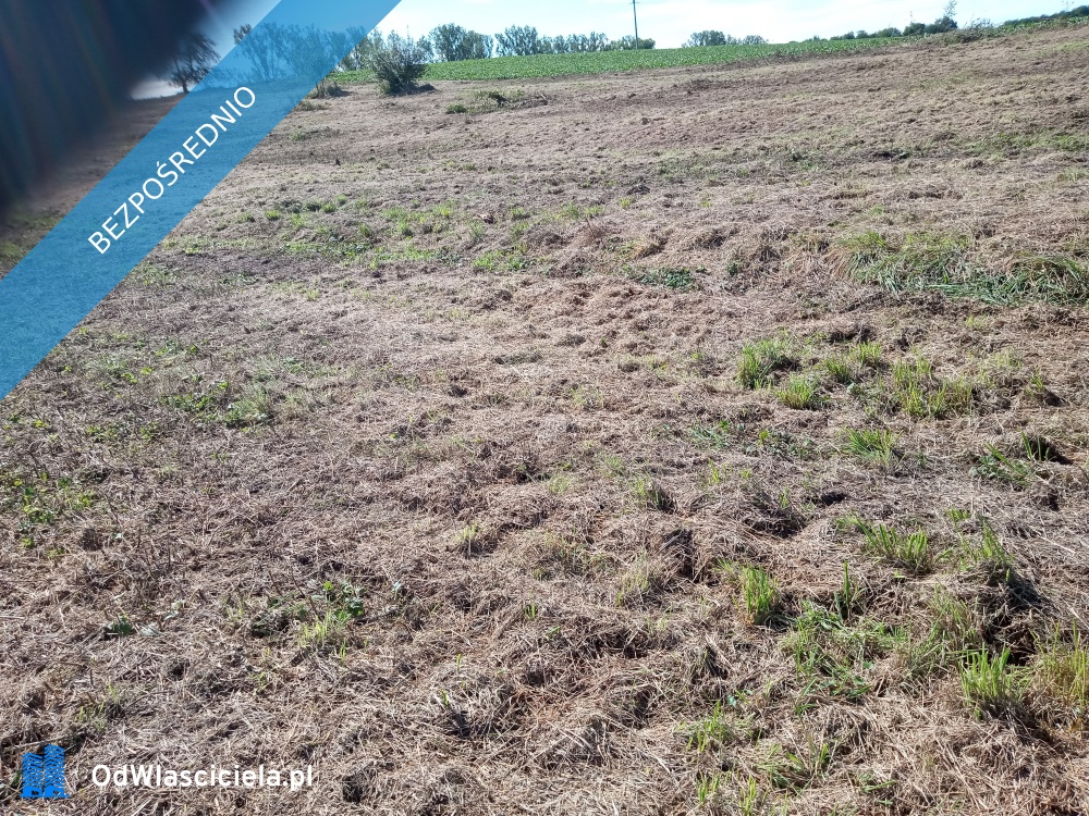 Okolica krakowskiego LOTNISKA - Kraków  -
małopolskie Zdjęcie nr 1