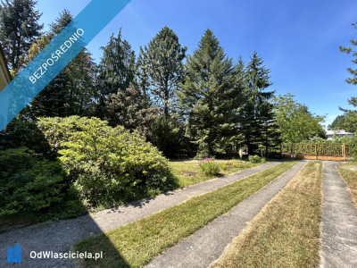 Sprzedam BEZPOŚREDNIO dużą działkę z domem do generalnego remontu  Zalesie Dolne Piaseczno ul Kordeckiego - Zalesie Dolne  -
mazowieckie Zdjęcie nr 14