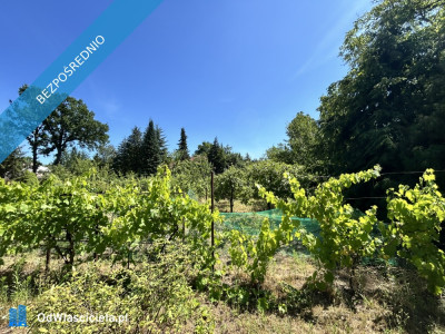 Sprzedam BEZPOŚREDNIO dużą działkę z domem do generalnego remontu  Zalesie Dolne Piaseczno ul Kordeckiego - Zalesie Dolne  -
mazowieckie Zdjęcie nr 15