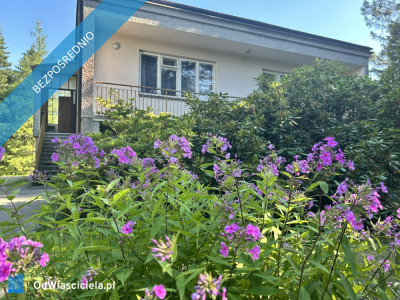 Sprzedam BEZPOŚREDNIO dużą działkę z domem do generalnego remontu  Zalesie Dolne Piaseczno ul Kordeckiego - Zalesie Dolne  -
mazowieckie Zdjęcie nr 16