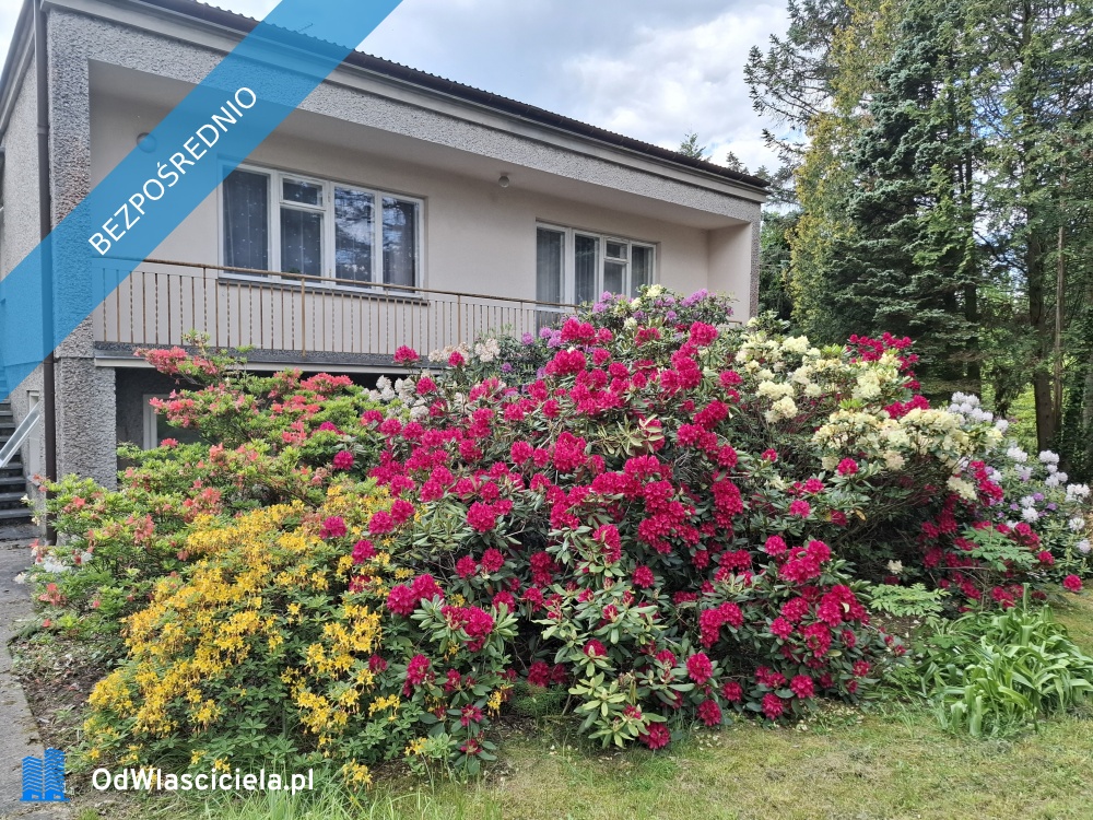 Sprzedam BEZPOŚREDNIO dużą działkę z domem do generalnego remontu  Zalesie Dolne Piaseczno ul Kordeckiego - Zalesie Dolne  -
mazowieckie Zdjęcie nr 1