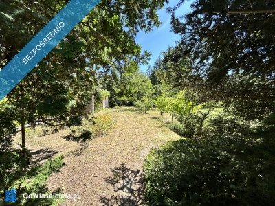 Sprzedam BEZPOŚREDNIO dużą działkę z domem do generalnego remontu  Zalesie Dolne Piaseczno ul Kordeckiego - Zalesie Dolne  -
mazowieckie Zdjęcie nr 19