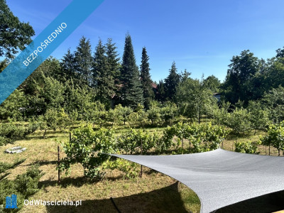 Sprzedam BEZPOŚREDNIO dużą działkę z domem do generalnego remontu  Zalesie Dolne Piaseczno ul Kordeckiego - Zalesie Dolne  -
mazowieckie Zdjęcie nr 3