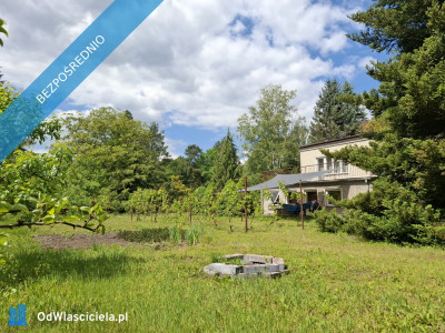 Sprzedam BEZPOŚREDNIO dużą działkę z domem do generalnego remontu  Zalesie Dolne Piaseczno ul Kordeckiego - Zalesie Dolne  -
mazowieckie Zdjęcie nr 5