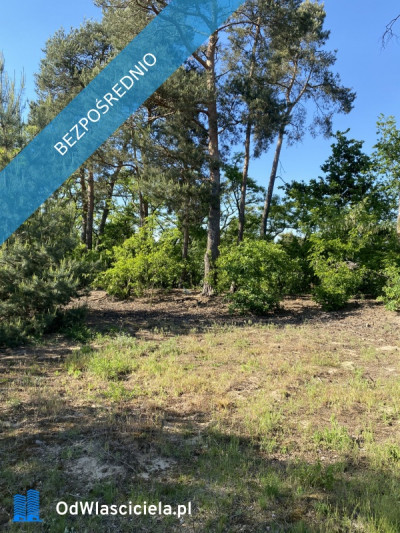 Działka budowlana na sprzedaż w okolicach Uniejowa 1240m2 - Brzozówka  -
łódzkie Zdjęcie nr 9