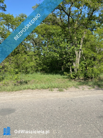 Działka budowlana na sprzedaż w okolicach Uniejowa 1240m2 - Brzozówka  -
łódzkie Zdjęcie nr 3