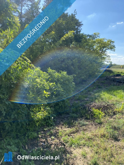 Działka budowlana na sprzedaż w okolicach Uniejowa 1240m2 - Brzozówka  -
łódzkie Zdjęcie nr 6