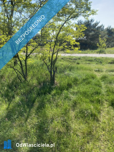 Działka budowlana na sprzedaż w okolicach Uniejowa 1240m2 - Brzozówka  -
łódzkie Zdjęcie nr 8