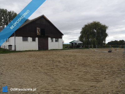 Sprzedam gospodarstwo rolne stajnię siedlisko mieszkanie - Prudnik  -
opolskie Zdjęcie nr 5