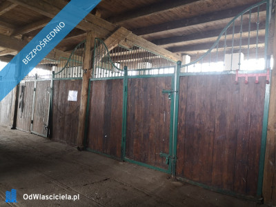 Sprzedam gospodarstwo rolne stajnię siedlisko mieszkanie - Prudnik  -
opolskie Zdjęcie nr 7