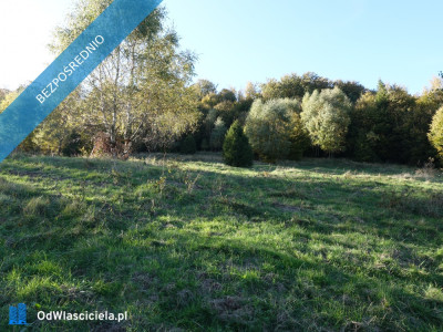 Brenna 253ha inwestycyjna pod pensjonaty domki letniskowe - Brenna  -
śląskie Zdjęcie nr 4