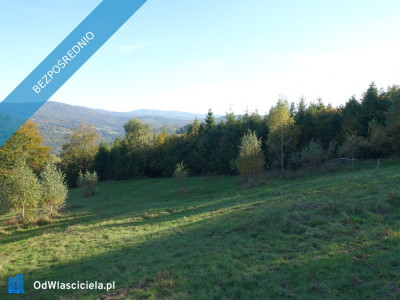 Brenna 253ha inwestycyjna pod pensjonaty domki letniskowe - Brenna  -
śląskie Zdjęcie nr 6