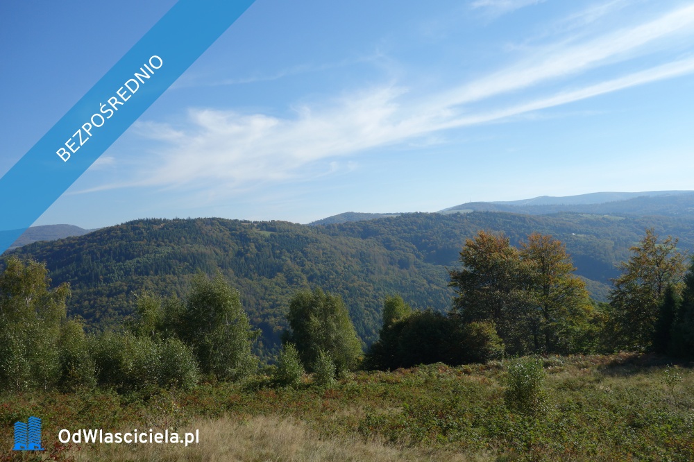 Brenna 253 ha działka inwestycyjna blisko wyciągu - Katowice  -
śląskie Zdjęcie nr 1