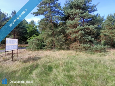 Działka 1 436 m Świbinki - Świbinki  -
lubuskie Zdjęcie nr 5