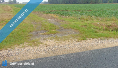 Syndyk sprzeda udział w działceŁubniany - Łubniany  -
opolskie Zdjęcie nr 3