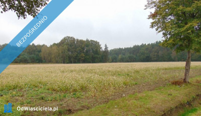 Syndyk sprzeda udział w działceŁubniany - Łubniany  -
opolskie Zdjęcie nr 4