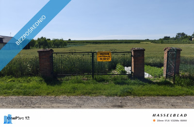 Sprzedam działki budowlane - Dzierzkowice-Podwody  - lubelskie