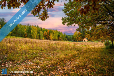 Mazowsze  działka marzeń na wzgórzu las i cisza - Jeziórka  -
mazowieckie Zdjęcie nr 10