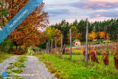Mazowsze  działka marzeń na wzgórzu las i cisza - Jeziórka  -
mazowieckie Zdjęcie nr 12