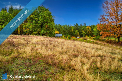 Mazowsze  działka marzeń na wzgórzu las i cisza - Jeziórka  -
mazowieckie Zdjęcie nr 13