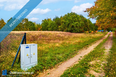 Mazowsze  działka marzeń na wzgórzu las i cisza - Jeziórka  -
mazowieckie Zdjęcie nr 15
