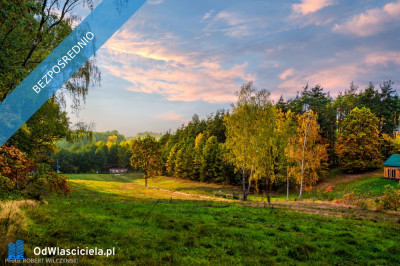 Mazowsze  działka marzeń na wzgórzu las i cisza - Jeziórka  -
mazowieckie Zdjęcie nr 16