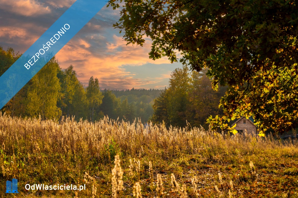 Mazowsze  działka marzeń na wzgórzu las i cisza - Jeziórka  -
mazowieckie Zdjęcie nr 1