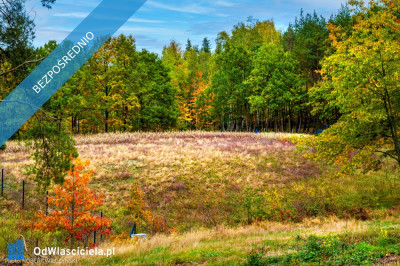 Mazowsze  działka marzeń na wzgórzu las i cisza - Jeziórka  -
mazowieckie Zdjęcie nr 3