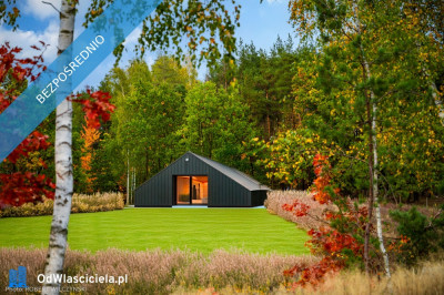 Mazowsze  działka marzeń na wzgórzu las i cisza - Jeziórka  -
mazowieckie Zdjęcie nr 5