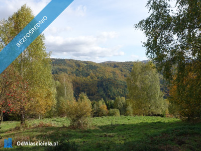 Brenna 253 ha inwestycyjna blisko wyciągu orczykowego  - Brenna  -
śląskie Zdjęcie nr 5