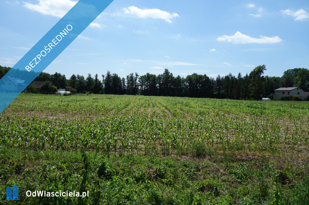 Skoczów Ochaby 162 ha z prawem zabudowy siedliskowa - Katowice  -
śląskie Zdjęcie nr 1