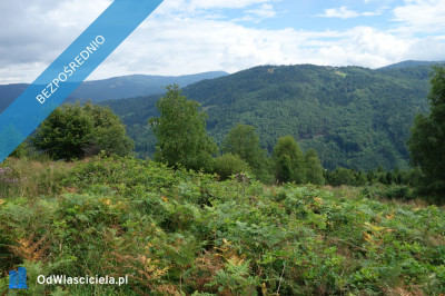 Brenna 253 ha działka inwestycyjna blisko wyciągu - Warszawa  -
mazowieckie Zdjęcie nr 2