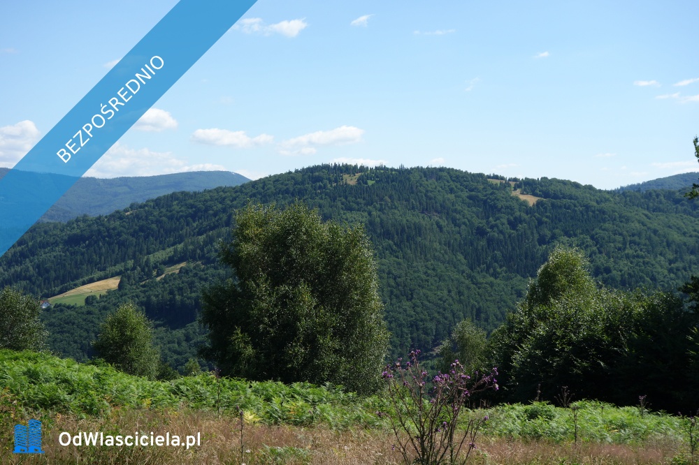 Brenna 253 ha działka inwestycyjna blisko wyciągu - Szczyrk  -
śląskie Zdjęcie nr 1