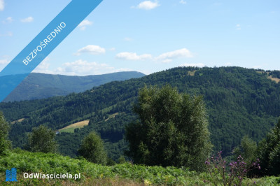 Brenna 253 ha działka inwestycyjna blisko wyciągu - Szczyrk  -
śląskie Zdjęcie nr 2
