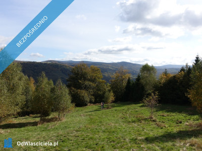 Brenna 253 ha działka inwestycyjna blisko wyciągu - Warszawa  -
mazowieckie Zdjęcie nr 6