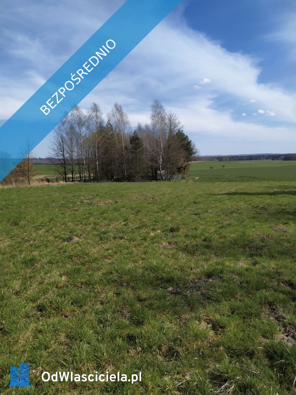 Działka budowlana 3942 m Myszków spokojna okolica - Mrzygłódka  -
śląskie Zdjęcie nr 1