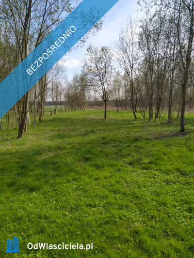 Działka budowlana 3942 m Myszków spokojna okolica - Mrzygłódka  -
śląskie Zdjęcie nr 5