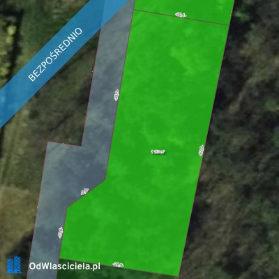 Zamieszkaj w leśnej ciszy - działka budowlana z mediami - Stefanów  -
łódzkie Zdjęcie nr 2
