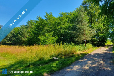 Zamieszkaj w leśnej ciszy - działka budowlana z mediami - Stefanów  -
łódzkie Zdjęcie nr 3