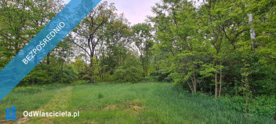 Zamieszkaj w leśnej ciszy - działka budowlana z mediami - Stefanów  -
łódzkie Zdjęcie nr 5