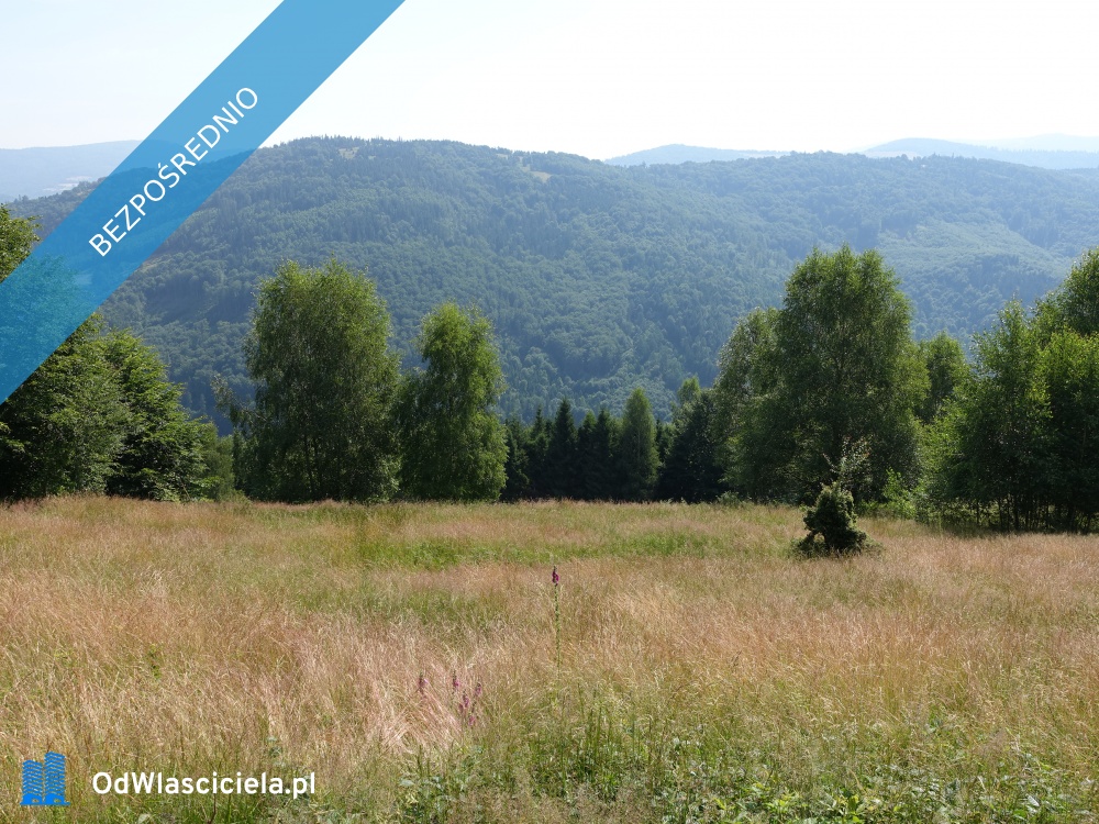 Brenna 253 ha z prawem zabudowy inwestycyjna blisko wyciągu orzcykowego - Kraków  -
małopolskie Zdjęcie nr 1