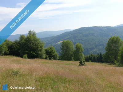 Brenna 253 ha z prawem zabudowy inwestycyjna blisko wyciągu orzcykowego - Kraków  -
małopolskie Zdjęcie nr 4