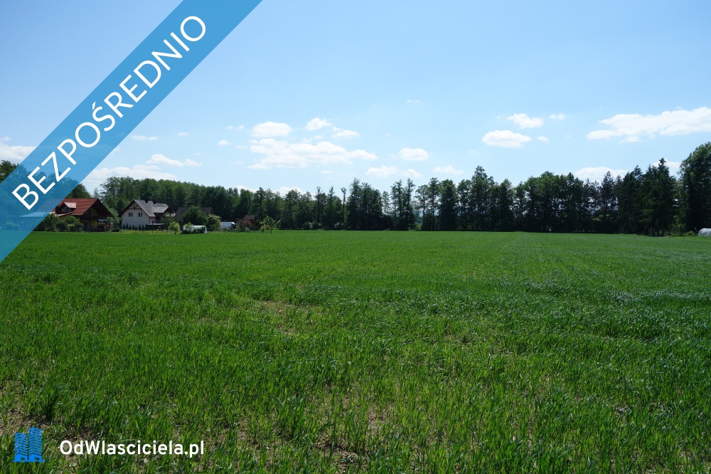 Skoczów Ochaby 32 ha budowlany oraz pod usługi nieuciążliwe  - Katowice  -
śląskie Zdjęcie nr 1